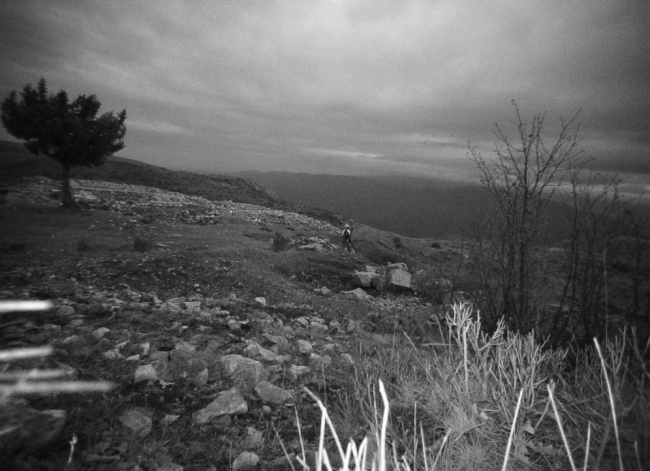 Define ararken jandarmanın fotokapanına yakalandılar